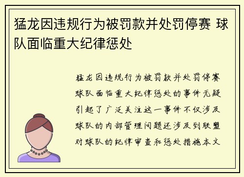 猛龙因违规行为被罚款并处罚停赛 球队面临重大纪律惩处